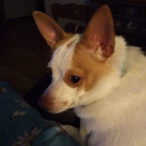 Meet your Posher, Jan